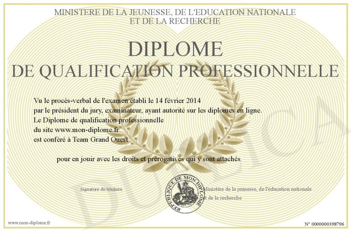 diplome qualification professionnelle